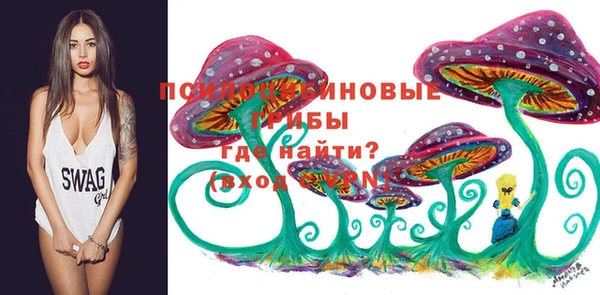 гидра Семилуки
