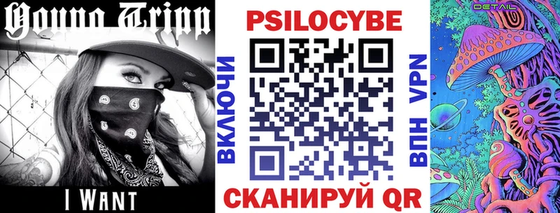 площадка какой сайт  цены наркотик  Шимановск  Псилоцибиновые грибы ЛСД  KRAKEN зеркало 